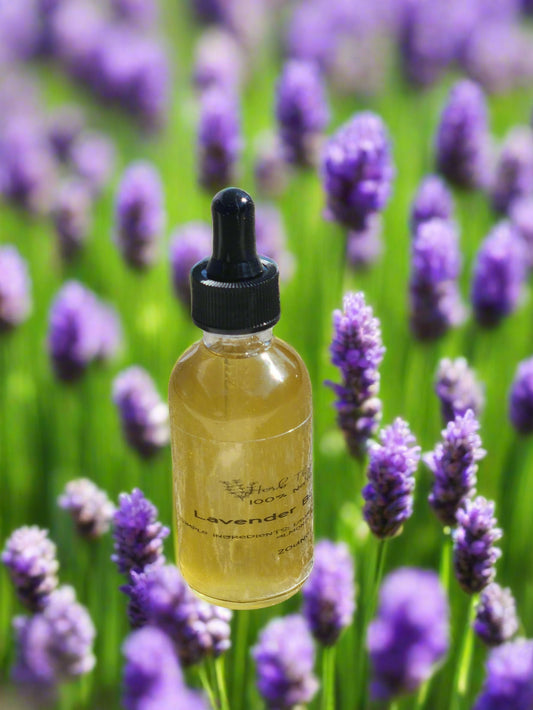 Lavender Body oil